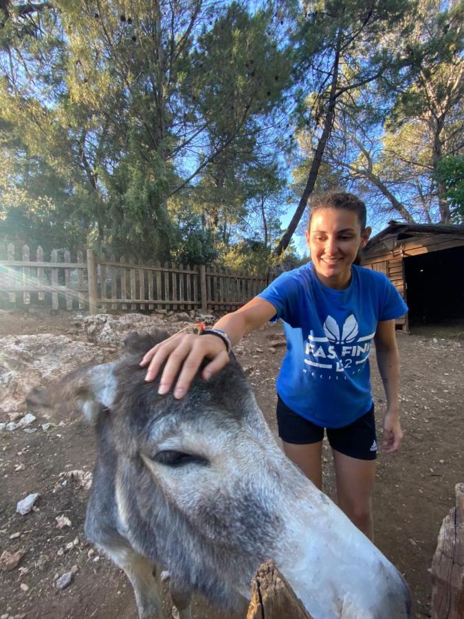 Alojamiento Rural Las Maravillas Cañada Catena Eksteriør bilde